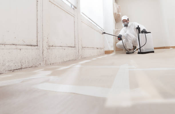 24/7 Emergency Commercial Mold Remediation experts in Odessa, FL